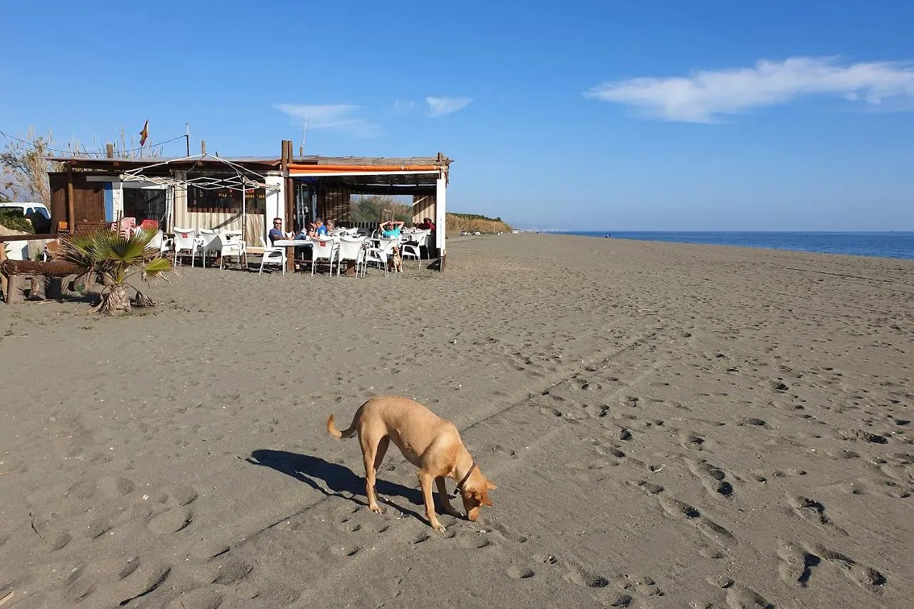 Vakantiehuis Rustic Country Cottage Benamargosa