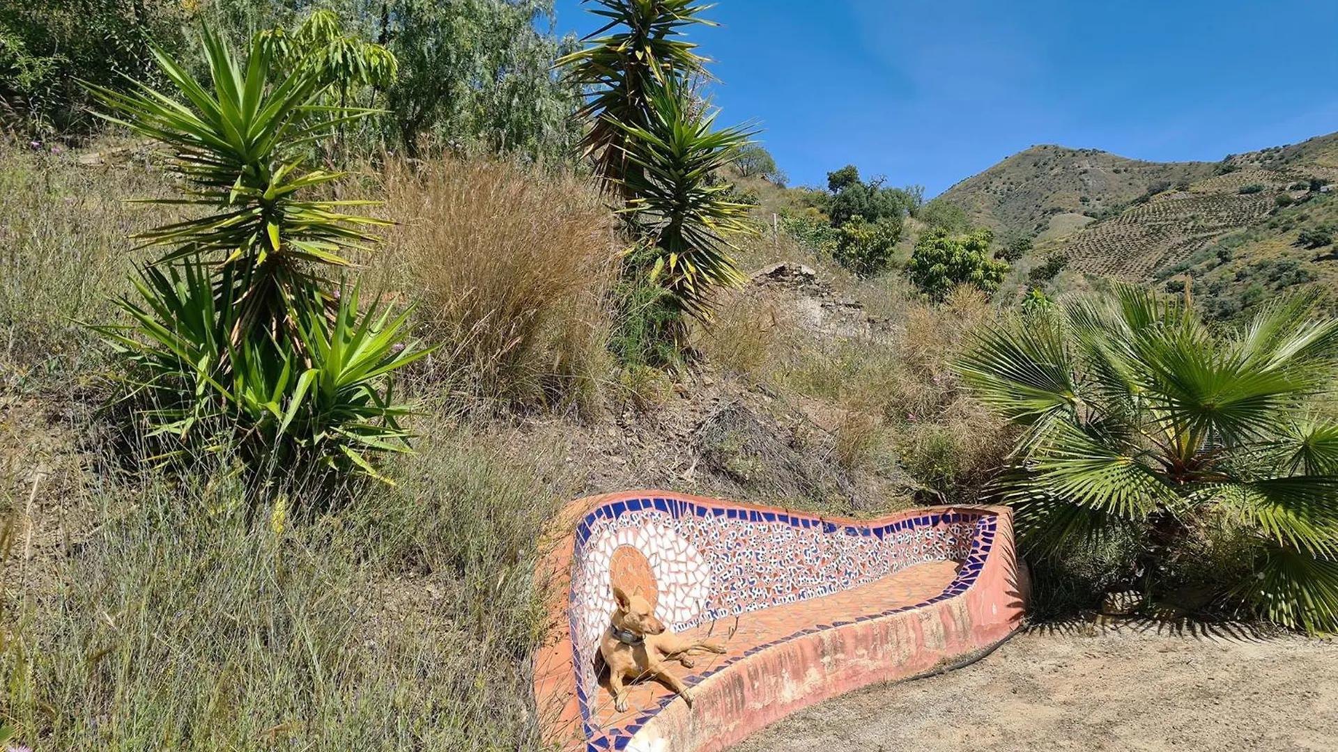 Rustic Country Cottage Benamargosa 0*,  Spanje