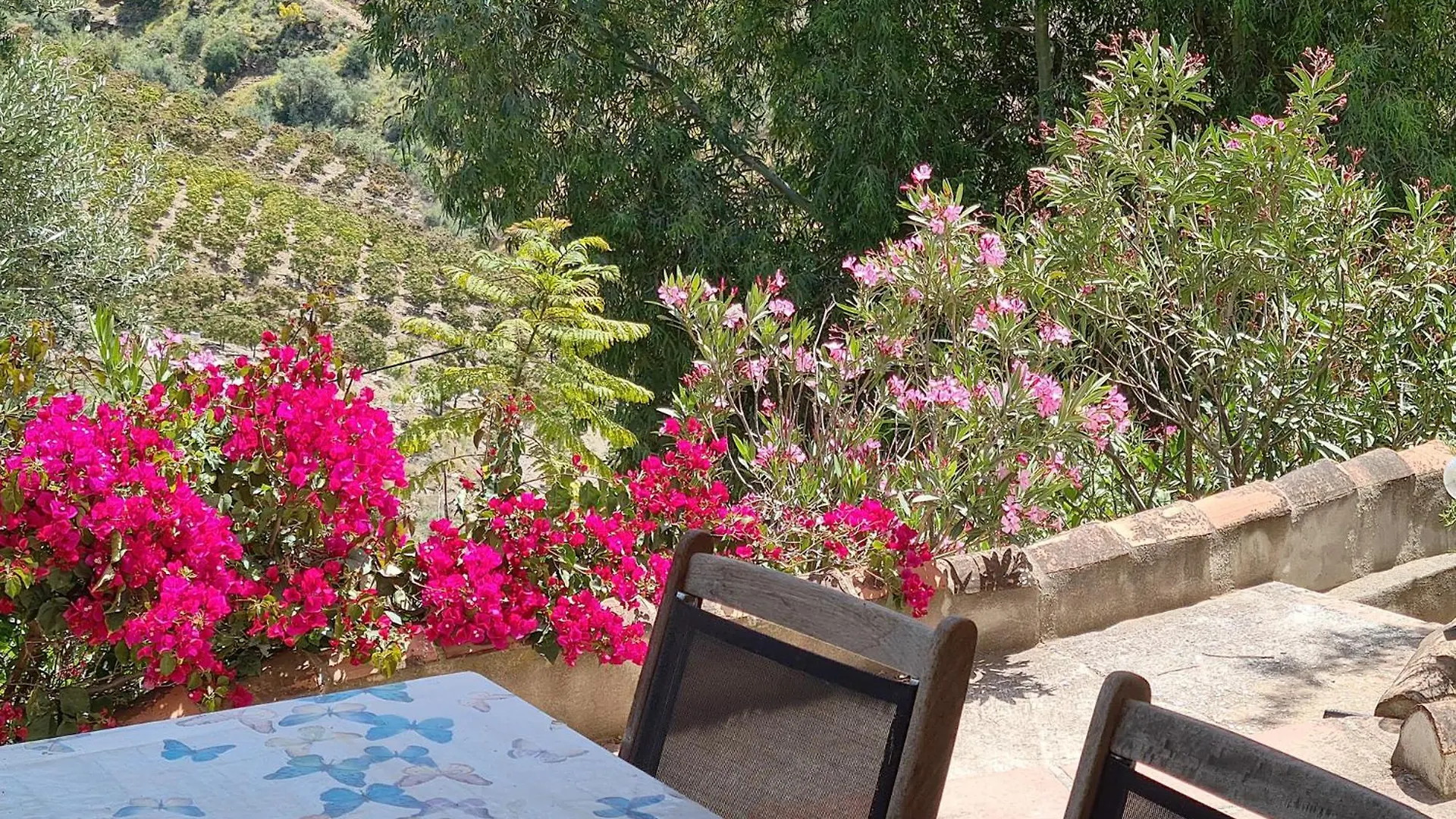 Rustic Country Cottage Benamargosa Vakantiehuis