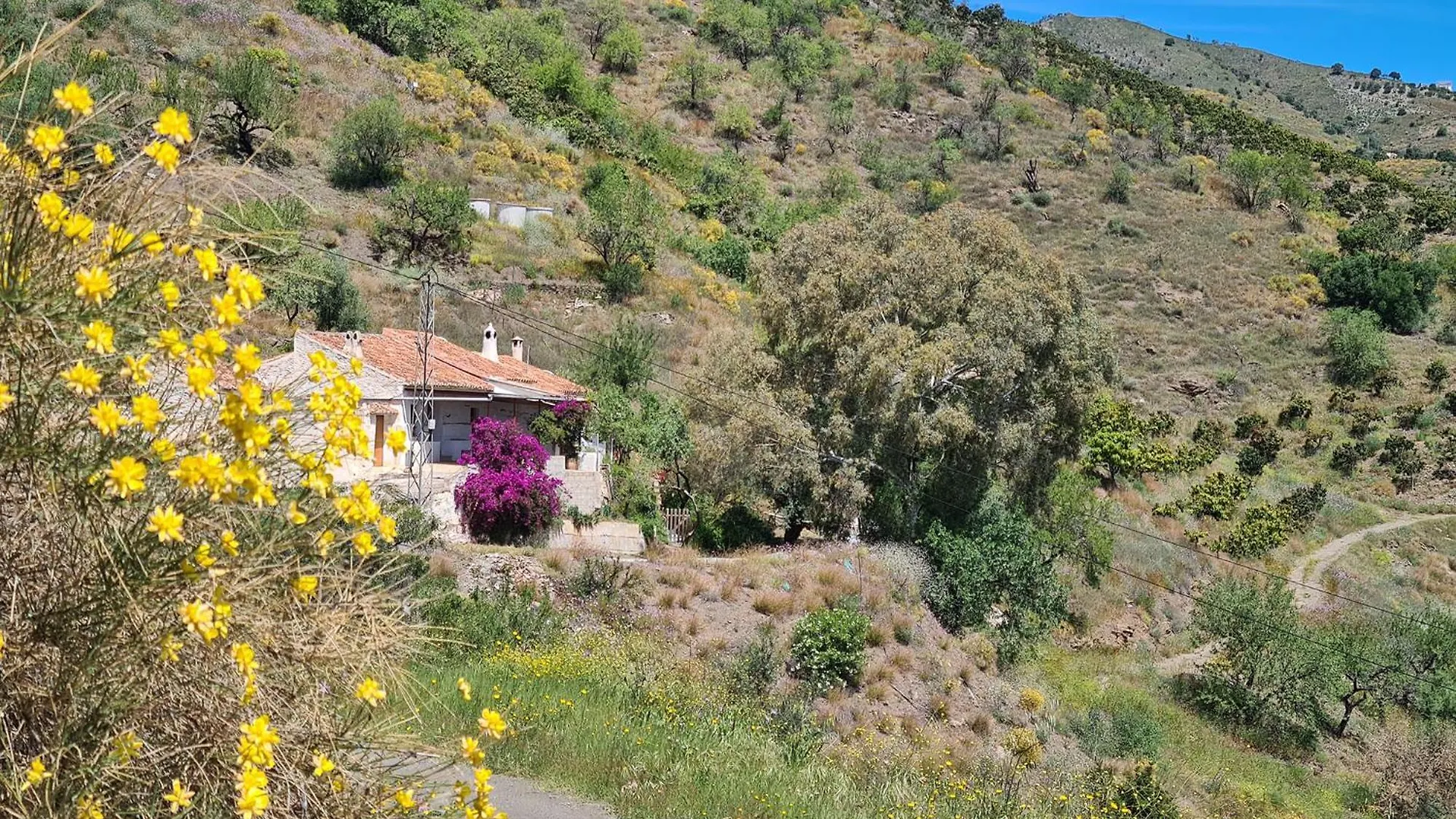 Rustic Country Cottage Benamargosa Vakantiehuis