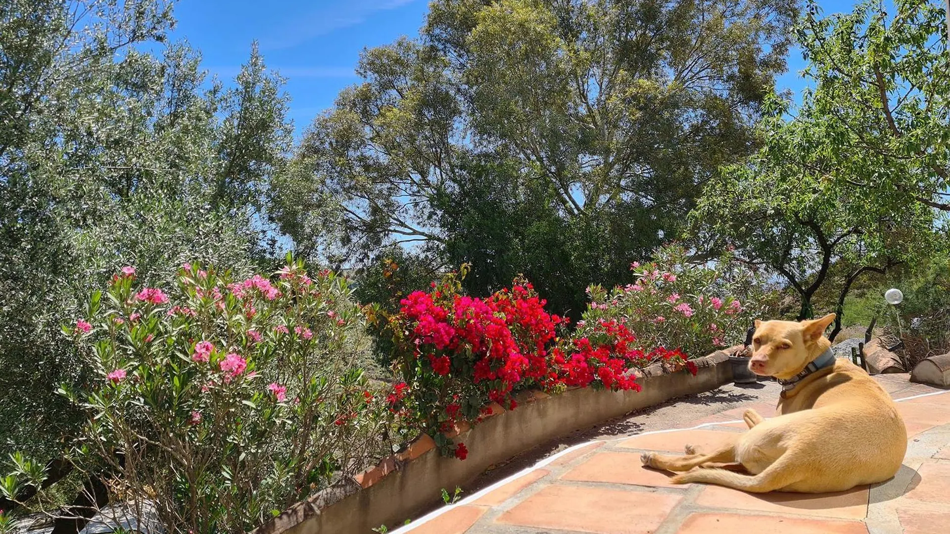 Vakantiehuis Rustic Country Cottage Benamargosa